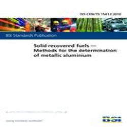 BS DD CEN/TS 15412:2010
