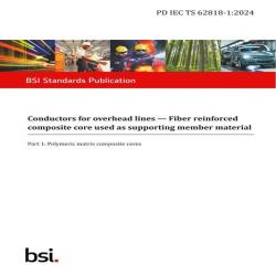 BS PD IEC TS 62818-1:2024